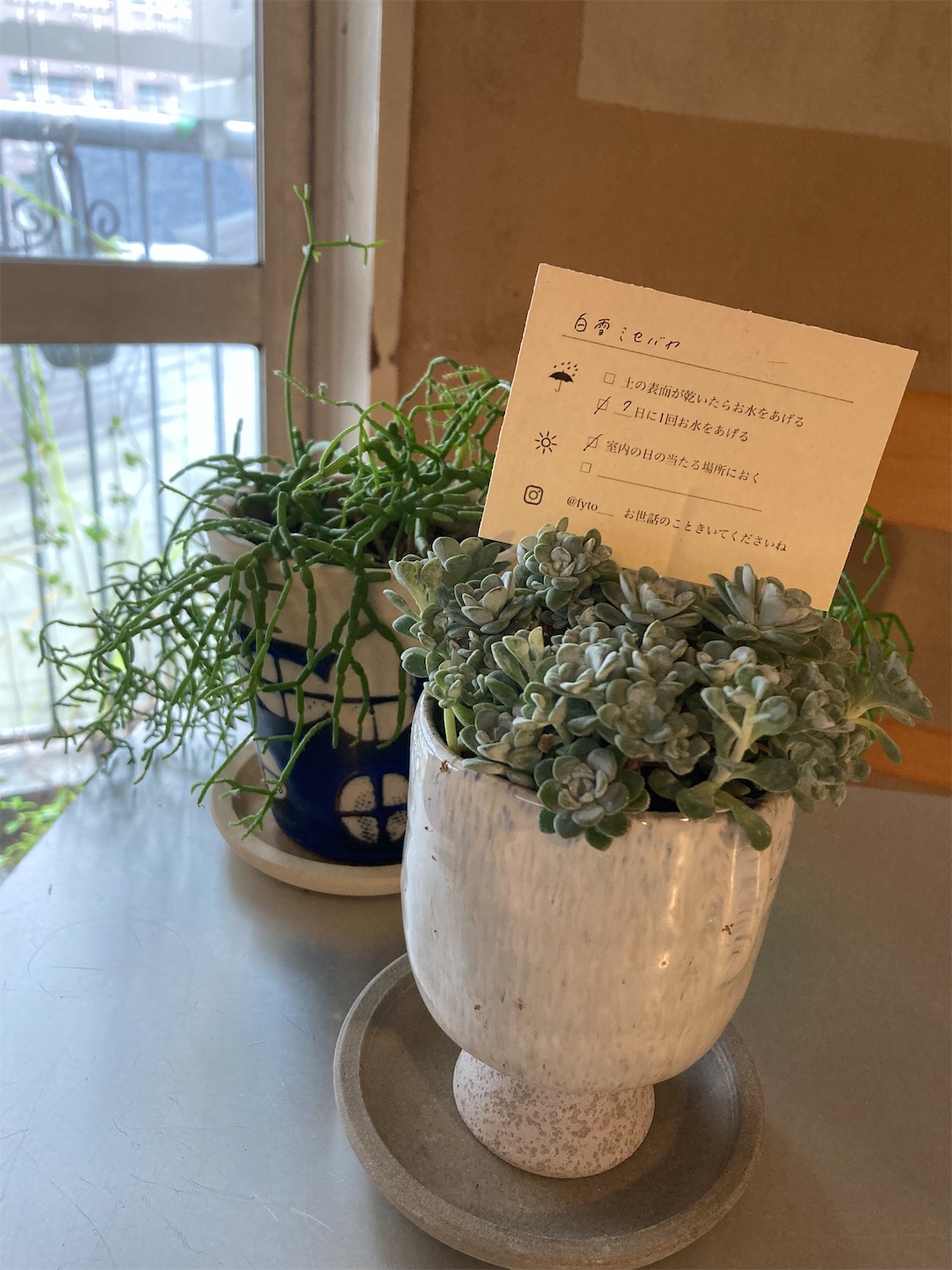 f:id:moomoon6355:20211123160834j:image