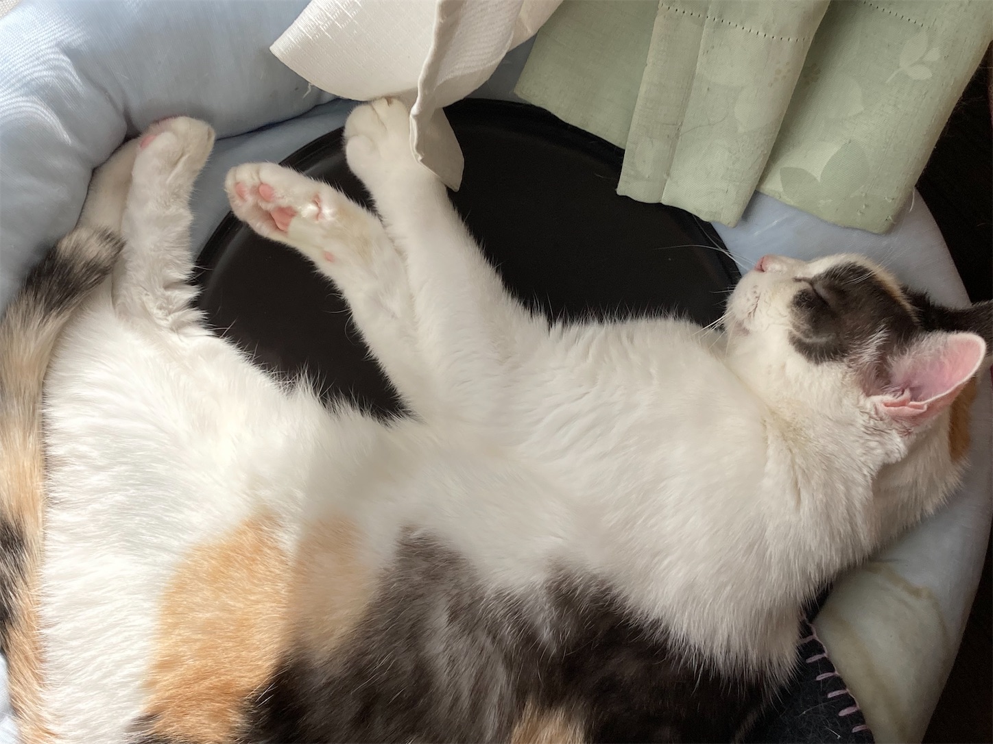 f:id:moomoon6355:20211129131245j:image