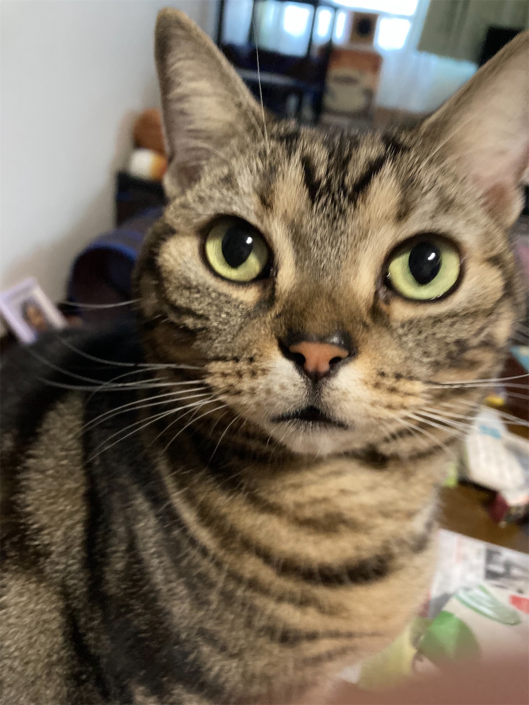 f:id:moomoon6355:20211129131248j:image