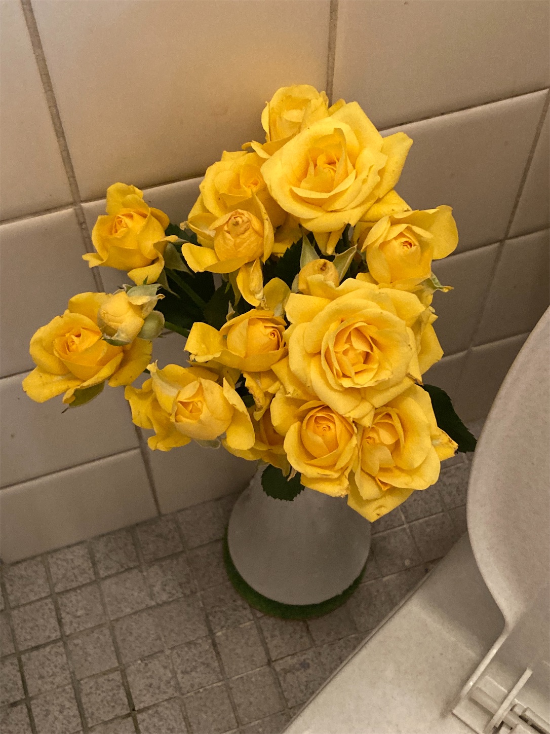 f:id:moomoon6355:20211129132315j:image