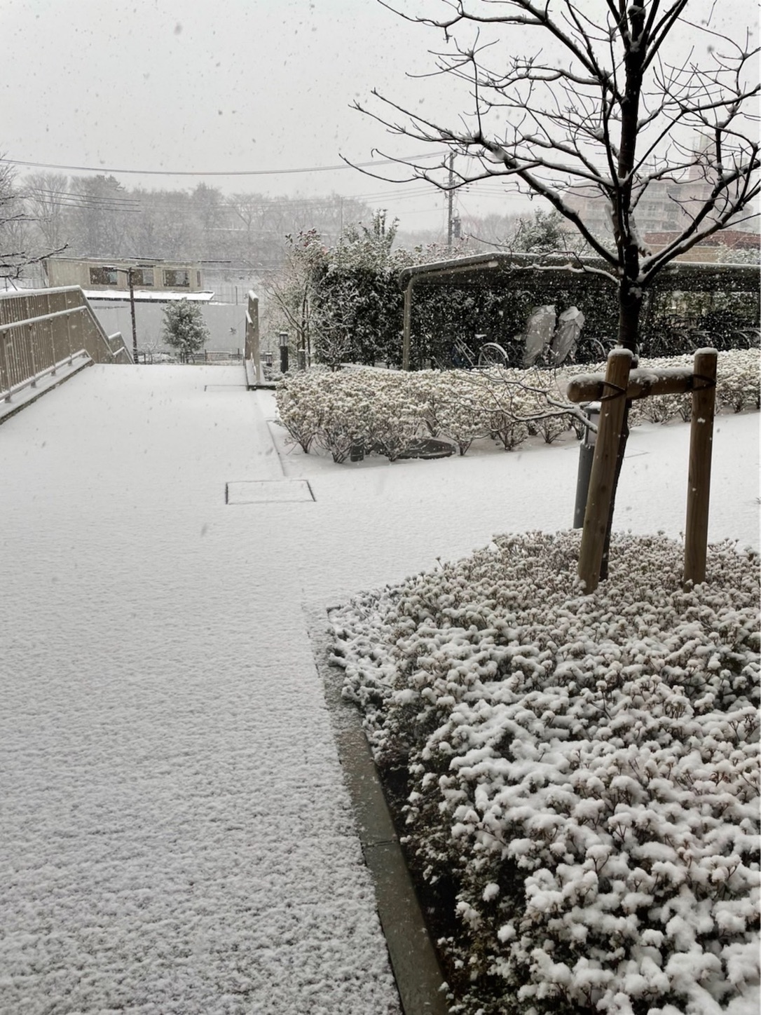 f:id:moomoon6355:20220106225449j:image f:id:moomoon6355:20220106225449j:image