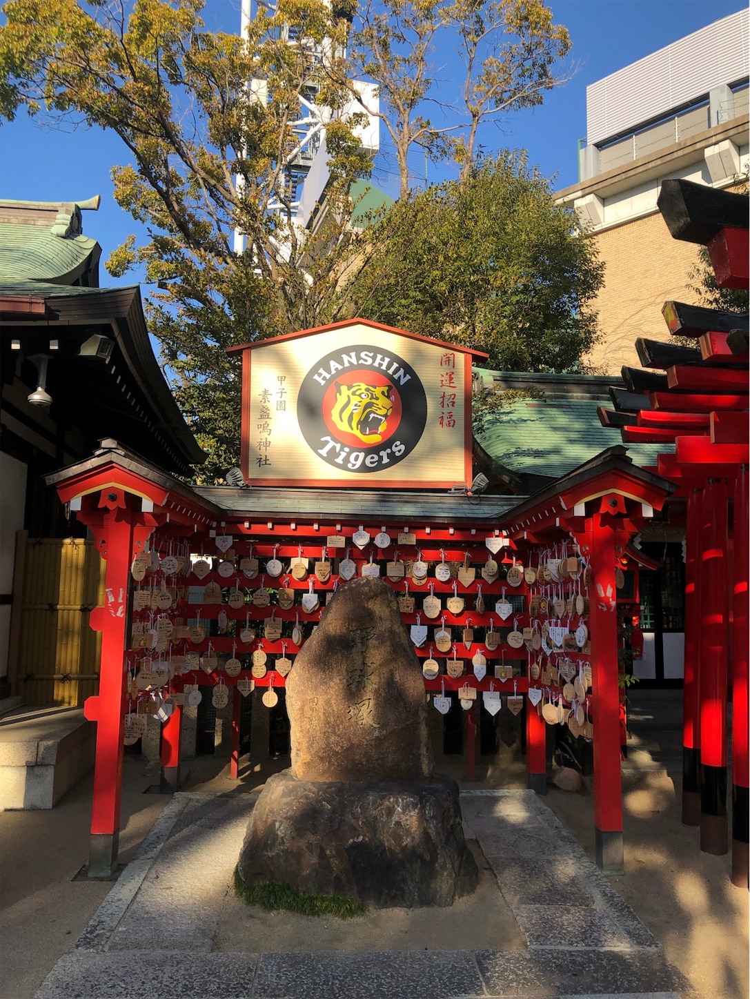 f:id:moomoon6355:20220119193830j:image f:id:moomoon6355:20220119193830j:image