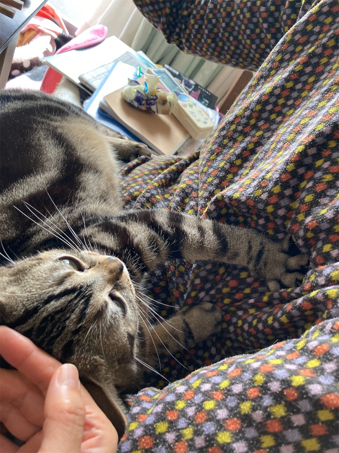 f:id:moomoon6355:20220119194144j:image f:id:moomoon6355:20220119194144j:image