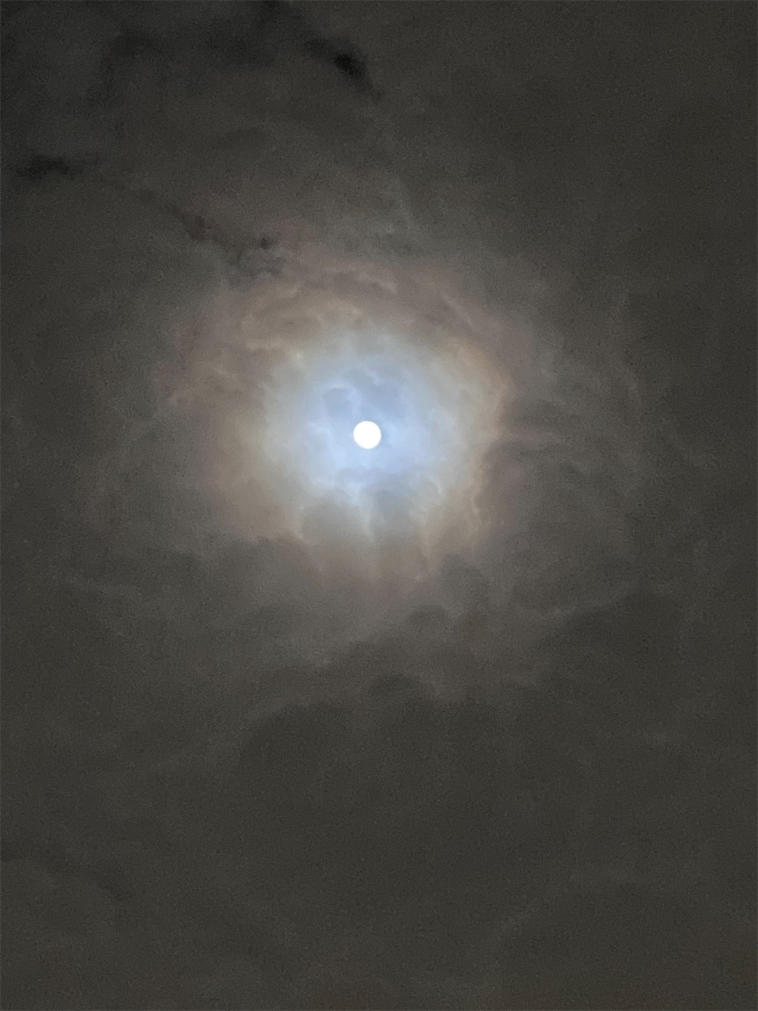 f:id:moomoon6355:20220119194535j:image f:id:moomoon6355:20220119194535j:image