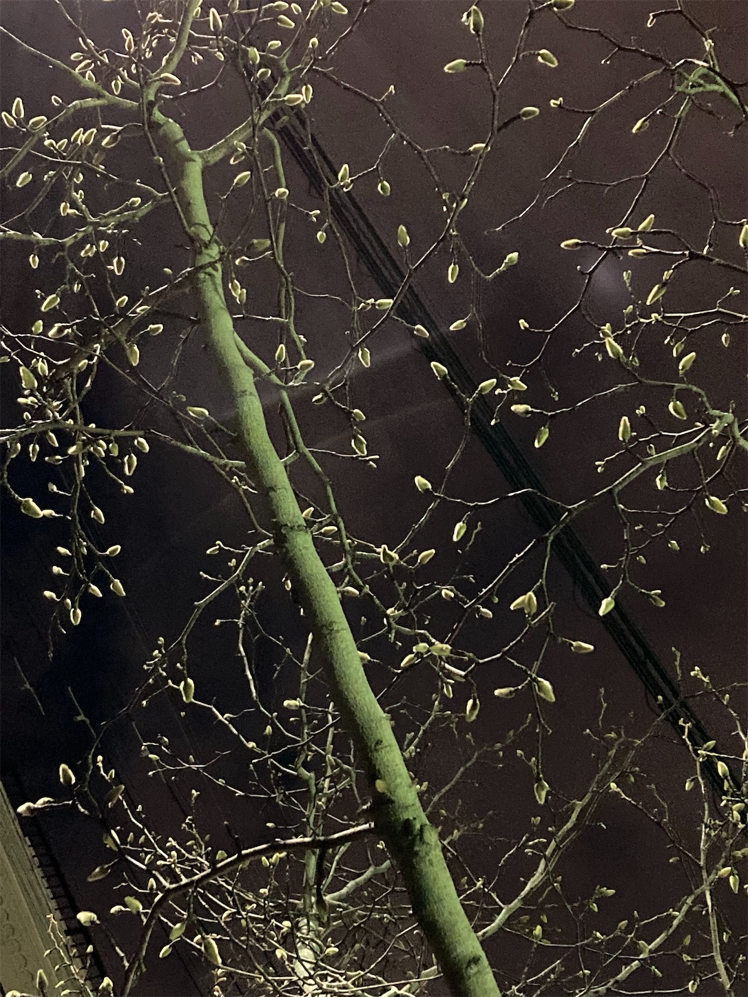 f:id:moomoon6355:20220119194538j:image f:id:moomoon6355:20220119194538j:image