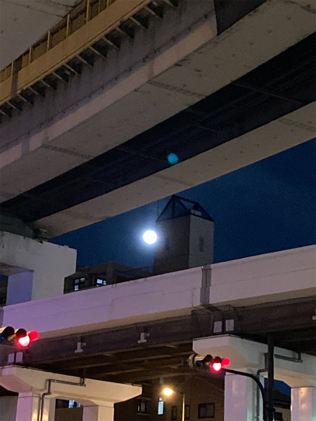 f:id:moomoon6355:20220119194542j:image f:id:moomoon6355:20220119194542j:image