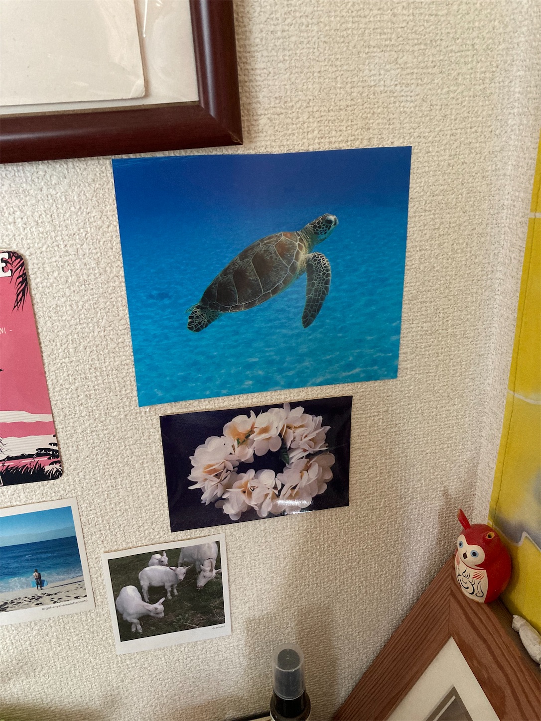 f:id:moomoon6355:20220119194932j:image f:id:moomoon6355:20220119194932j:image