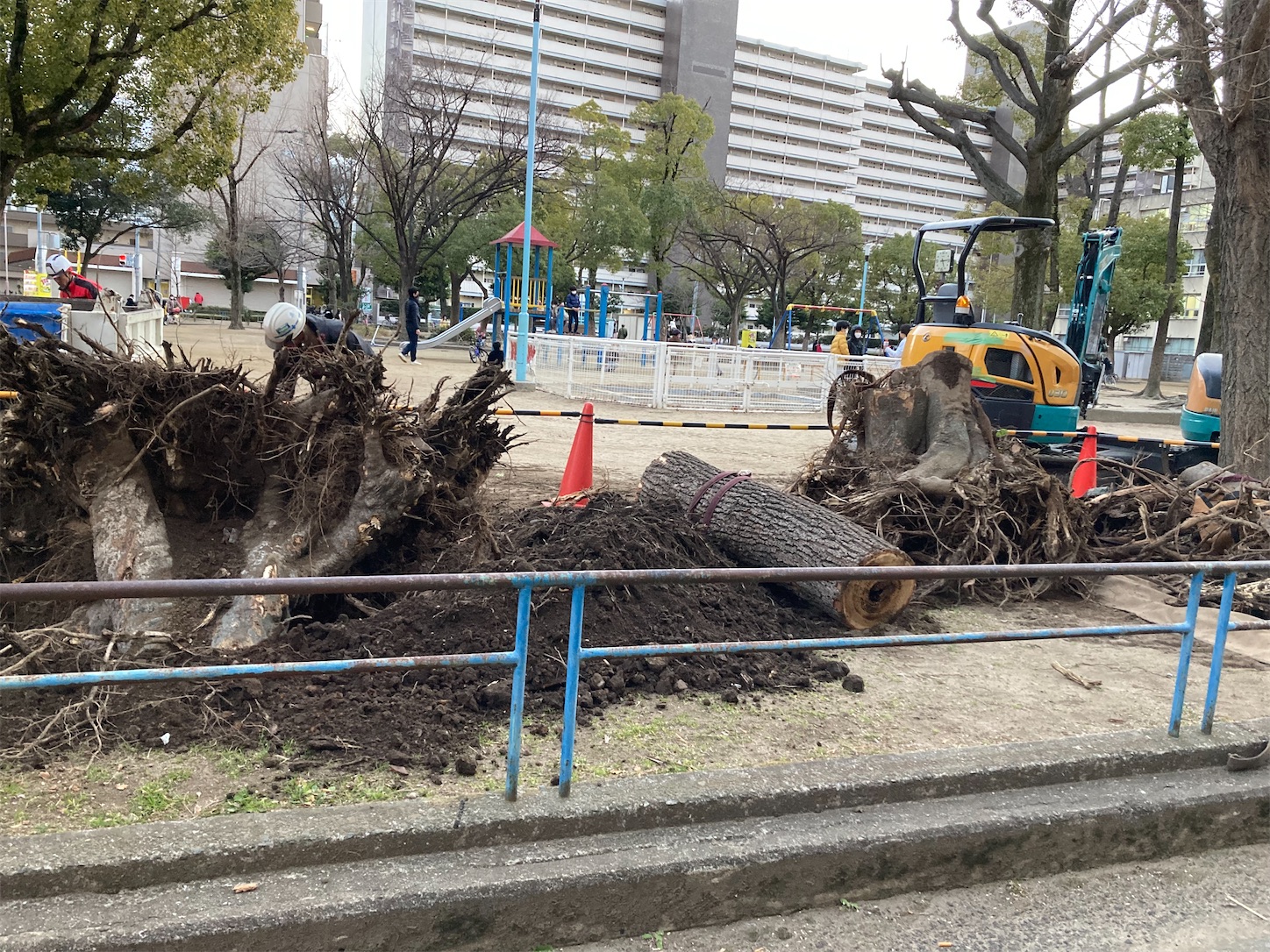 f:id:moomoon6355:20220119195200j:image f:id:moomoon6355:20220119195200j:image