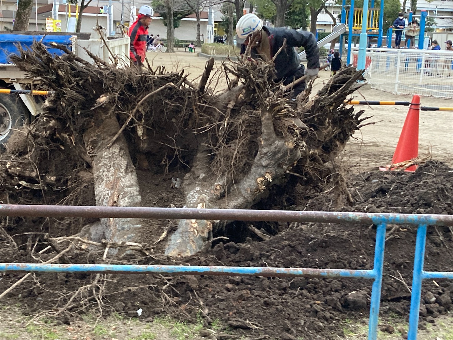 f:id:moomoon6355:20220119195204j:image f:id:moomoon6355:20220119195204j:image