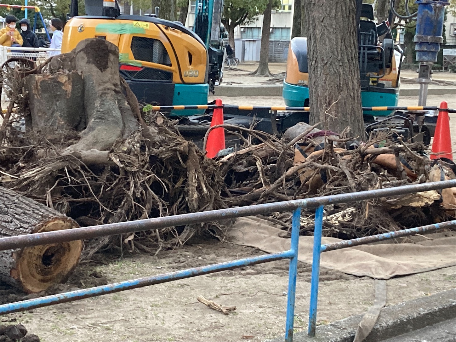 f:id:moomoon6355:20220119195212j:image f:id:moomoon6355:20220119195212j:image