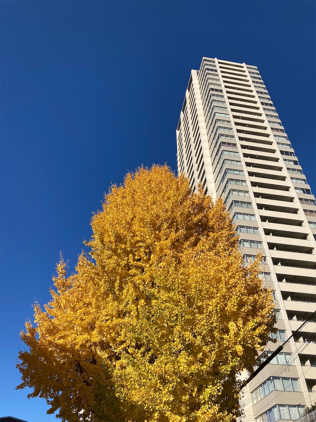 f:id:moomoon6355:20220119195955j:image f:id:moomoon6355:20220119195955j:image