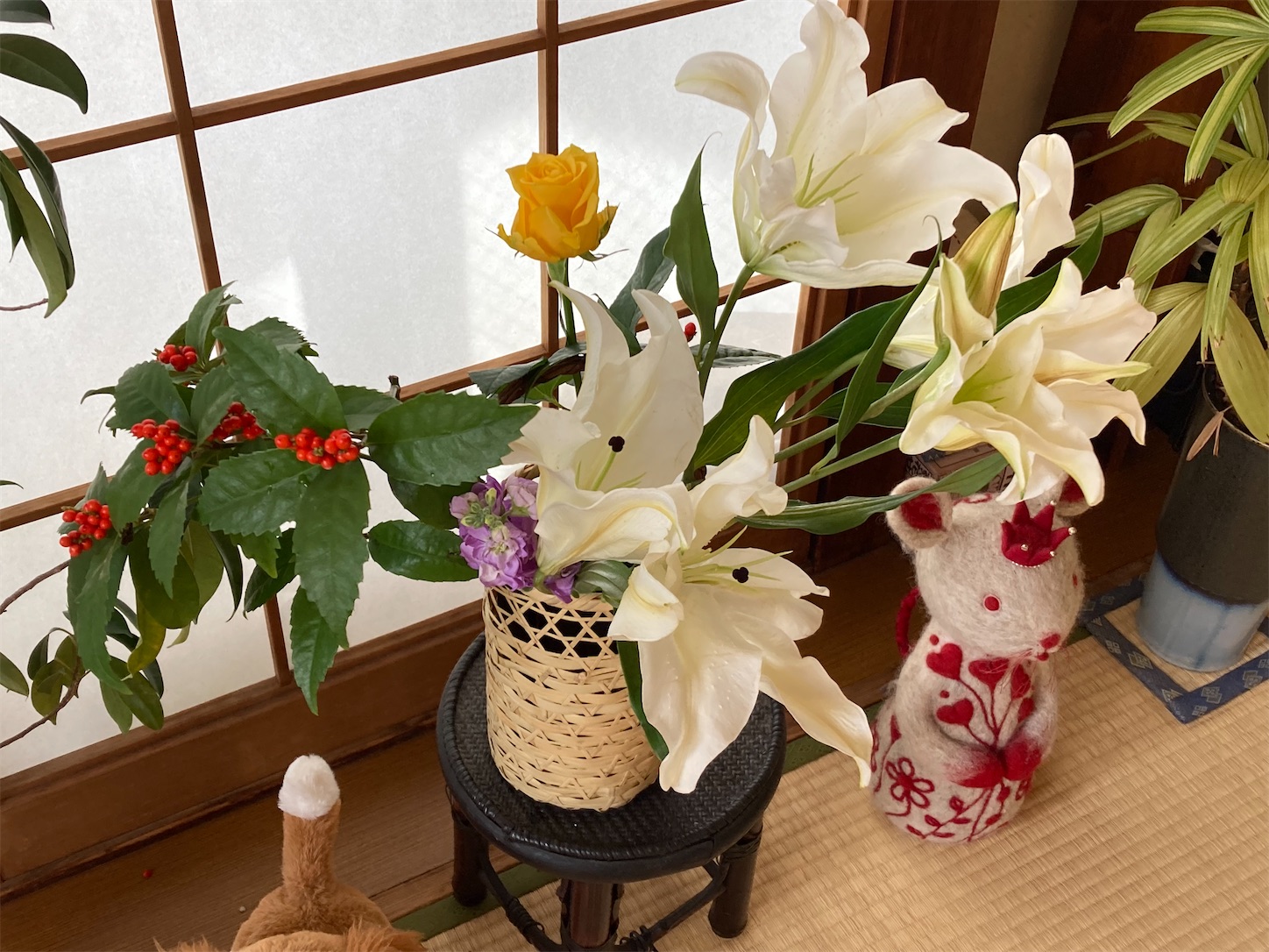 f:id:moomoon6355:20220119200247j:image f:id:moomoon6355:20220119200247j:image