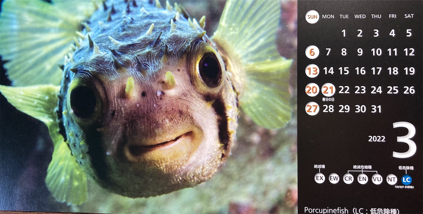 f:id:moomoon6355:20220302185817j:image