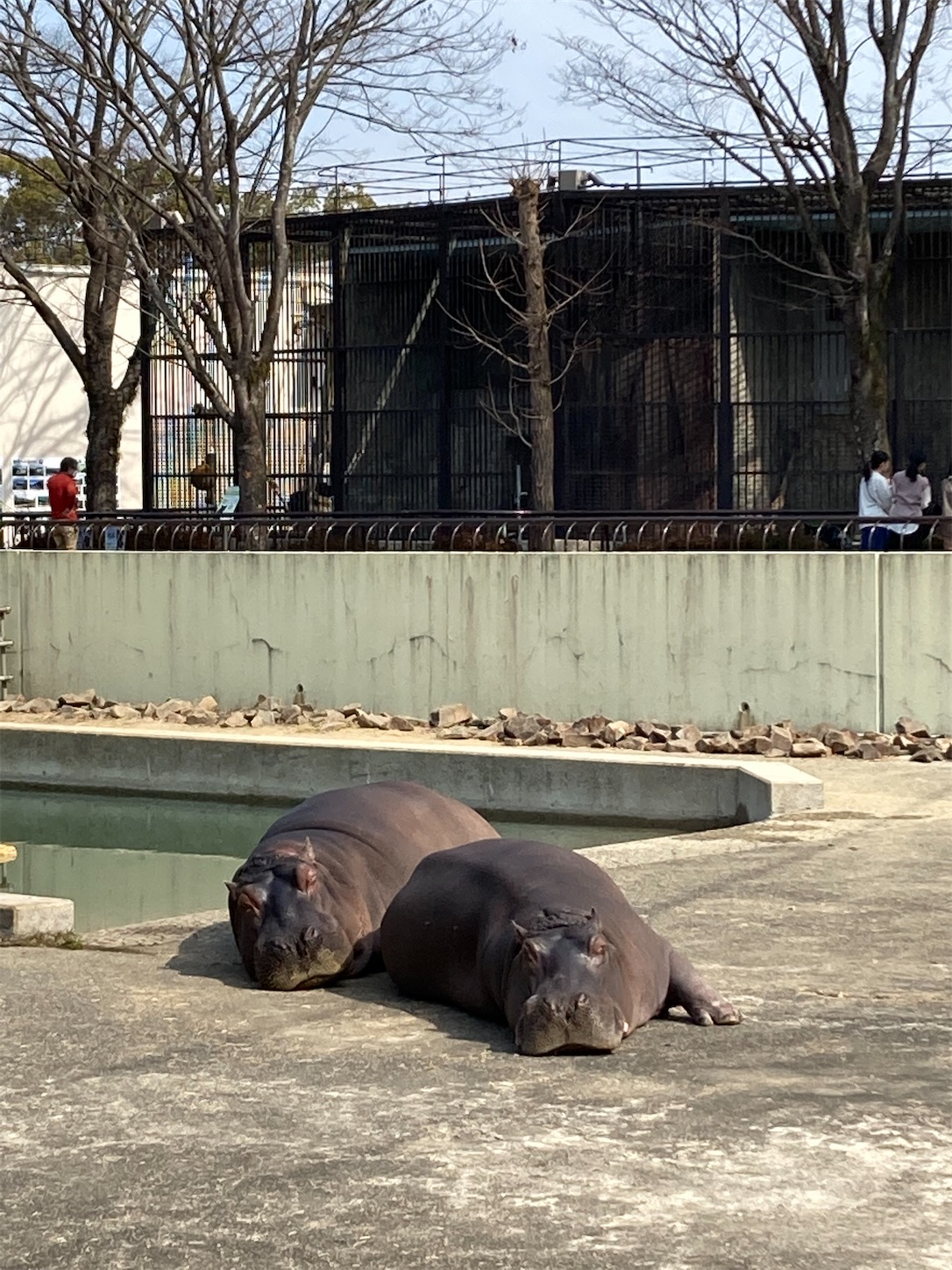 f:id:moomoon6355:20220311224148j:image f:id:moomoon6355:20220311224148j:image