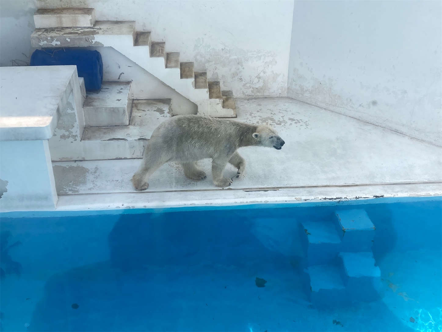 f:id:moomoon6355:20220311224151j:image f:id:moomoon6355:20220311224151j:image