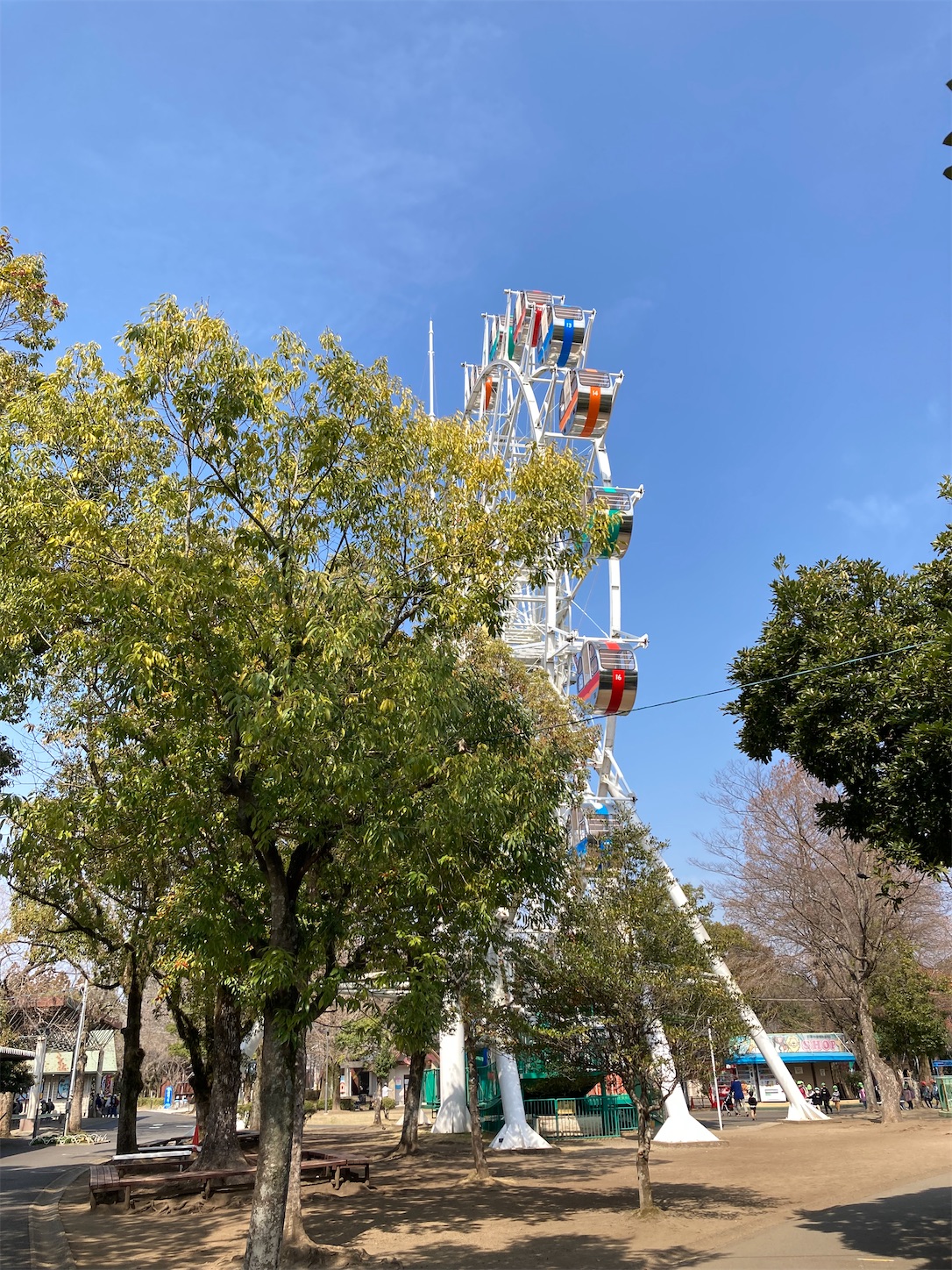 f:id:moomoon6355:20220311224812j:image f:id:moomoon6355:20220311224812j:image