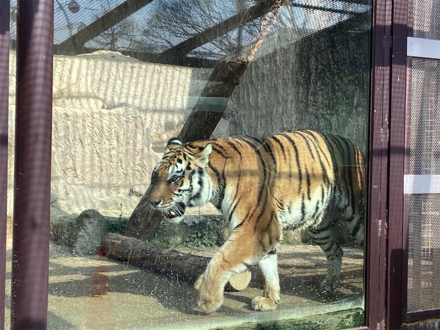 f:id:moomoon6355:20220311232310j:image f:id:moomoon6355:20220311232310j:image