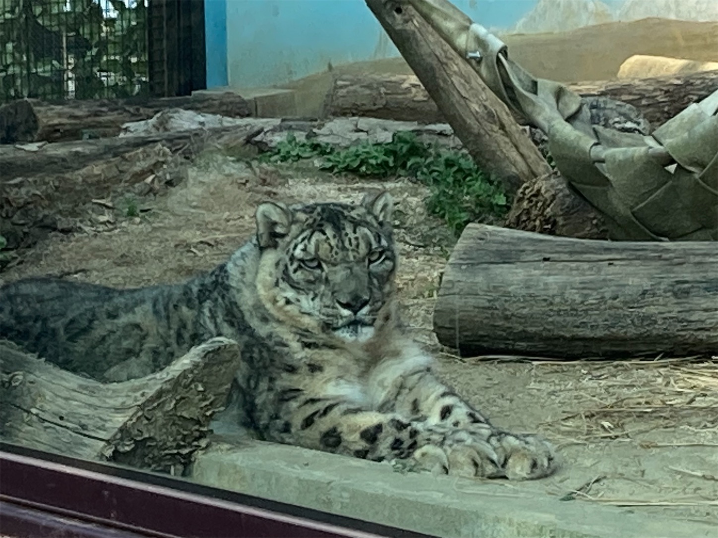 f:id:moomoon6355:20220311232313j:image f:id:moomoon6355:20220311232313j:image