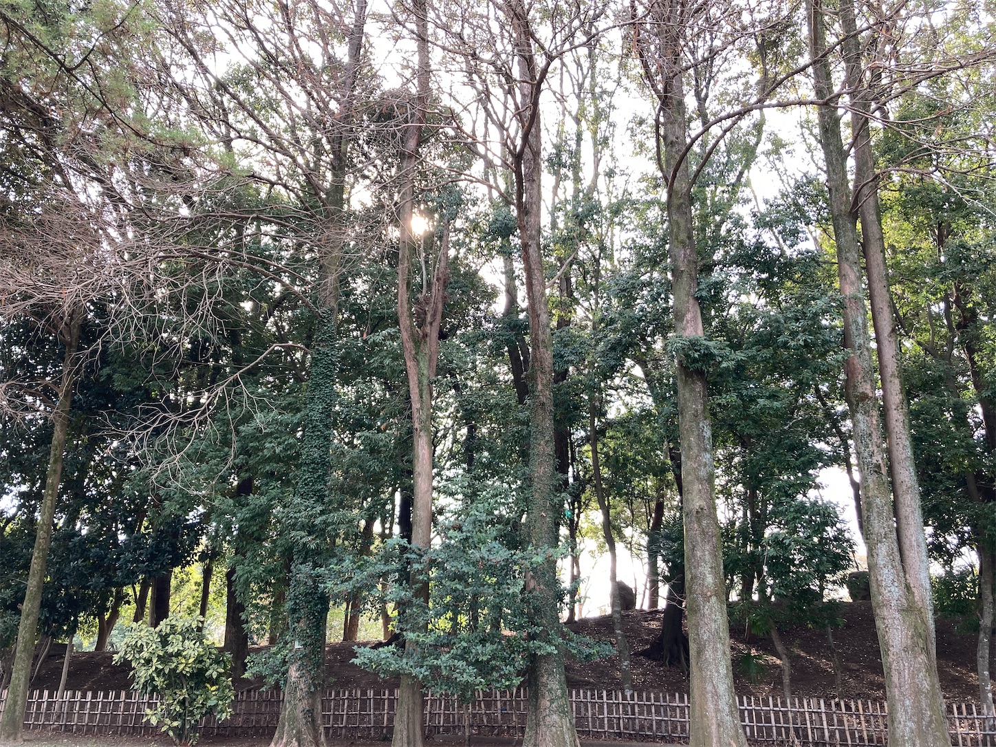 f:id:moomoon6355:20220311232504j:image f:id:moomoon6355:20220311232504j:image