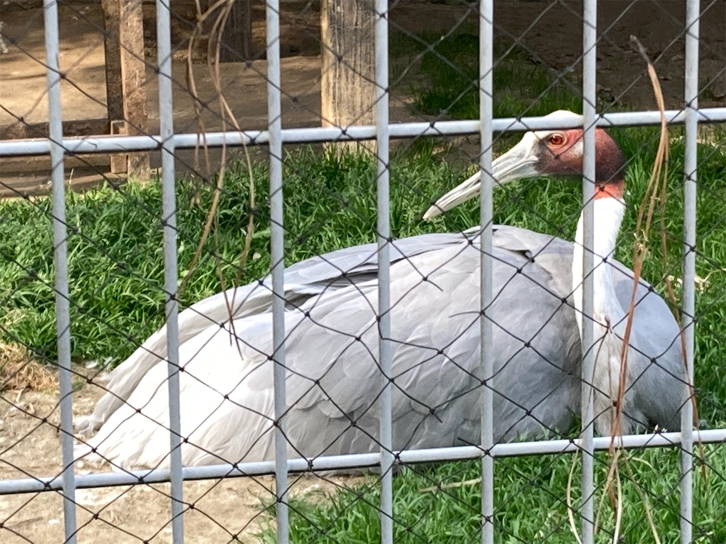 f:id:moomoon6355:20220311232511j:image f:id:moomoon6355:20220311232511j:image