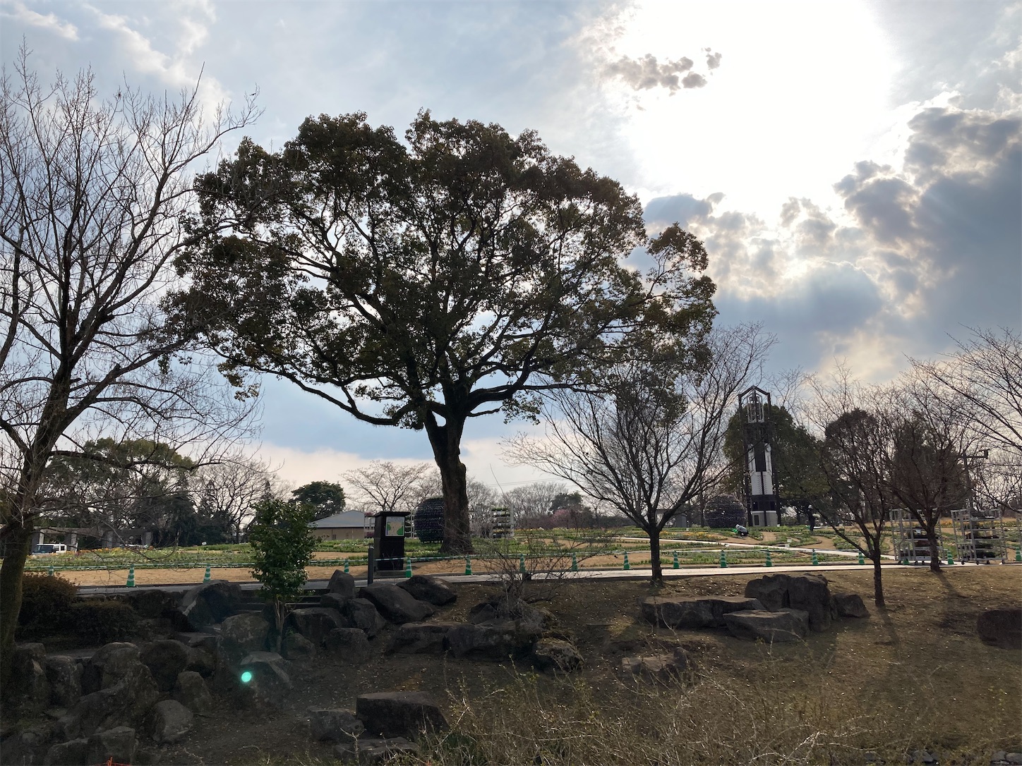 f:id:moomoon6355:20220311232630j:image f:id:moomoon6355:20220311232630j:image