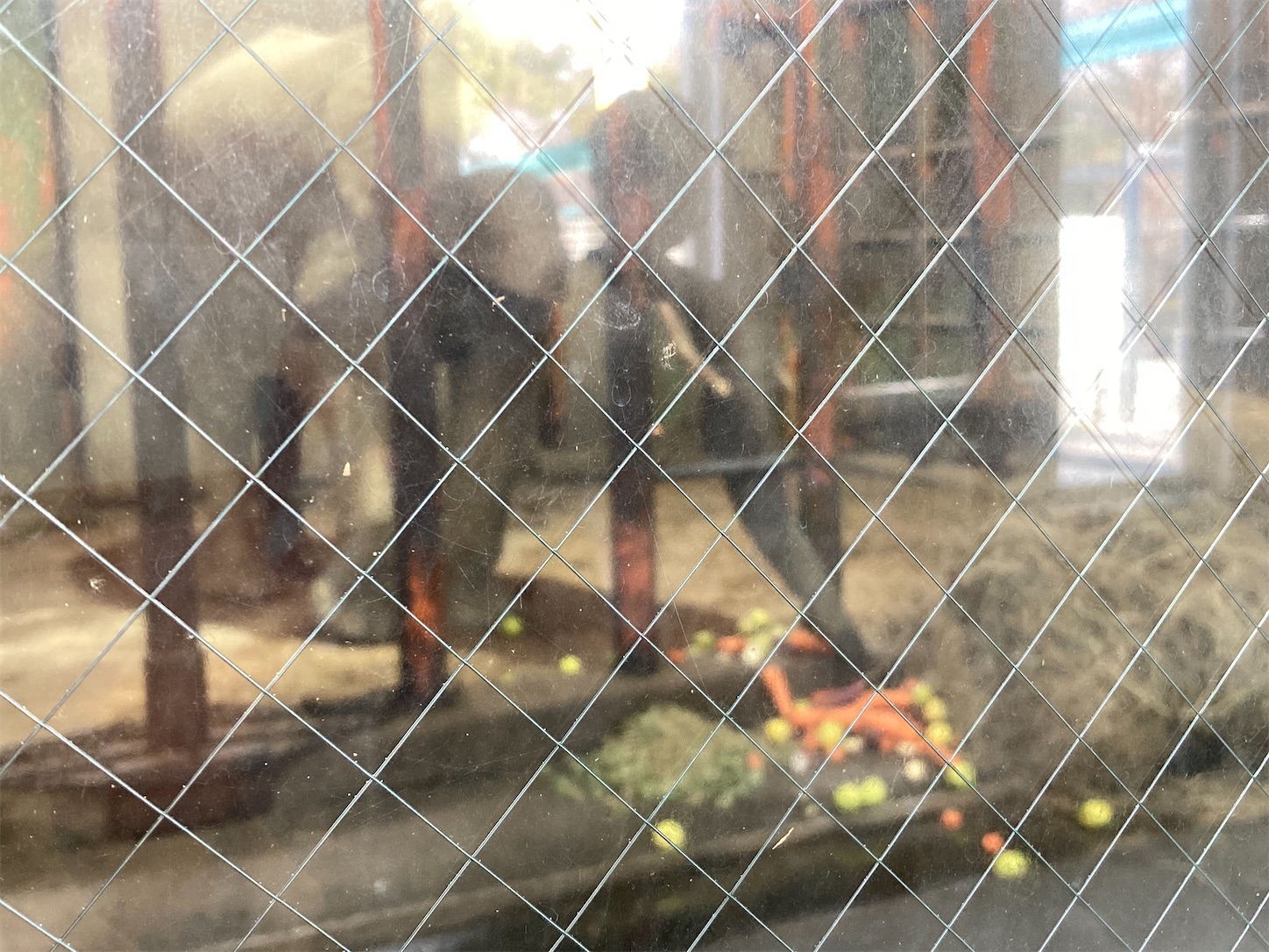 f:id:moomoon6355:20220311232703j:image f:id:moomoon6355:20220311232703j:image