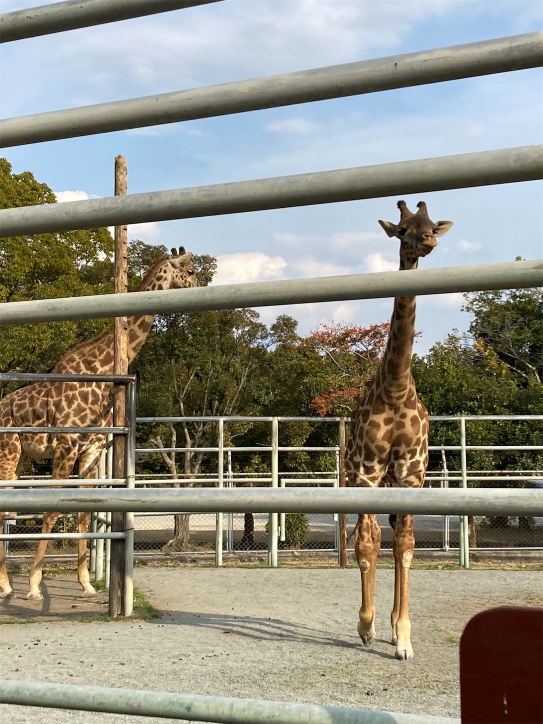 f:id:moomoon6355:20220311232706j:image f:id:moomoon6355:20220311232706j:image