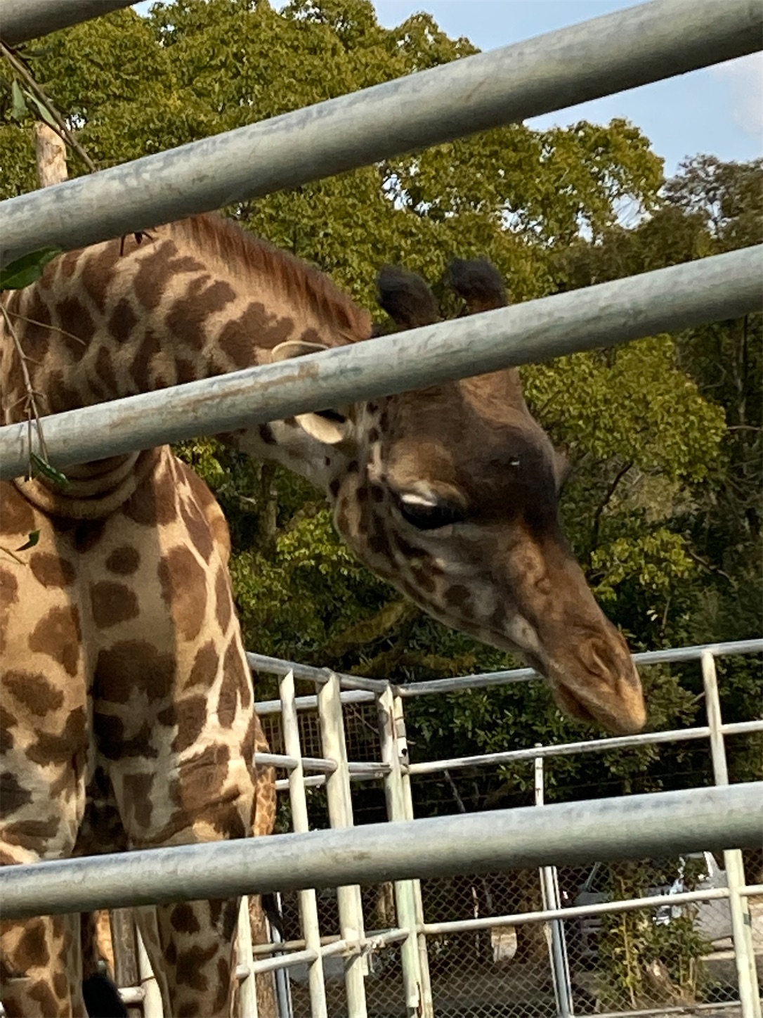 f:id:moomoon6355:20220311232709j:image f:id:moomoon6355:20220311232709j:image