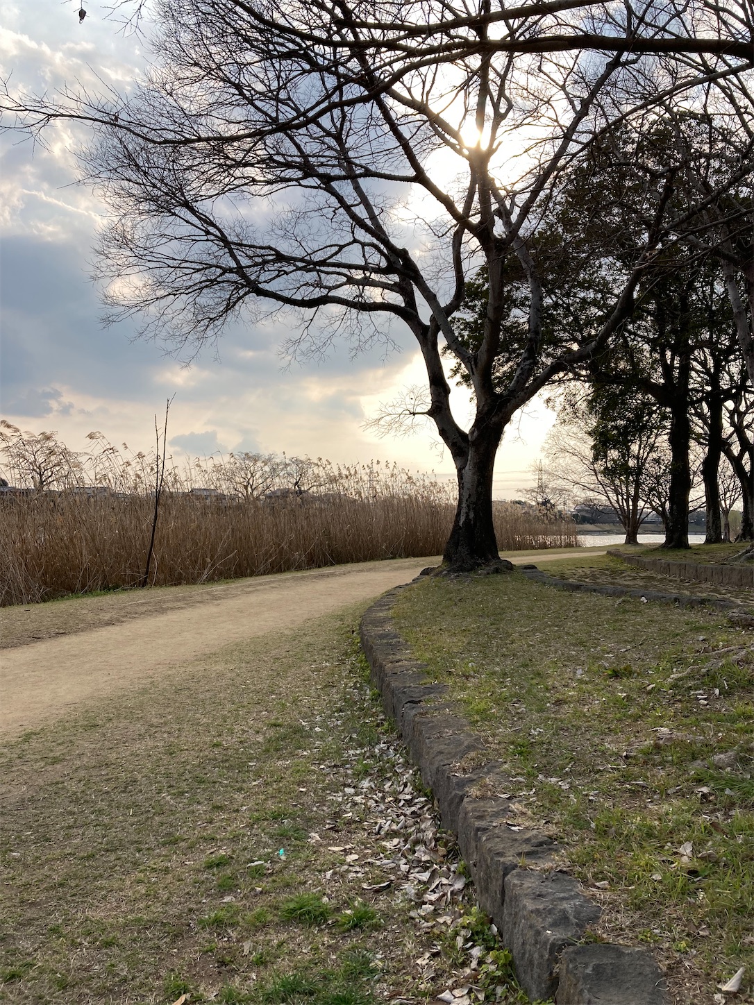 f:id:moomoon6355:20220311232755j:image f:id:moomoon6355:20220311232755j:image