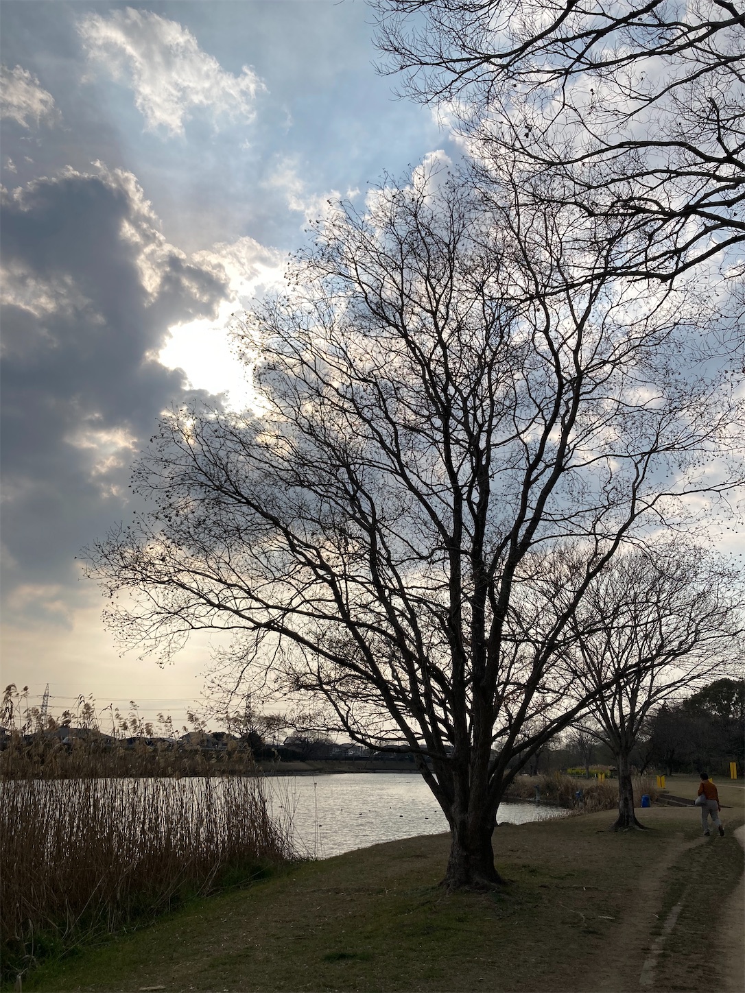 f:id:moomoon6355:20220311233104j:image f:id:moomoon6355:20220311233104j:image