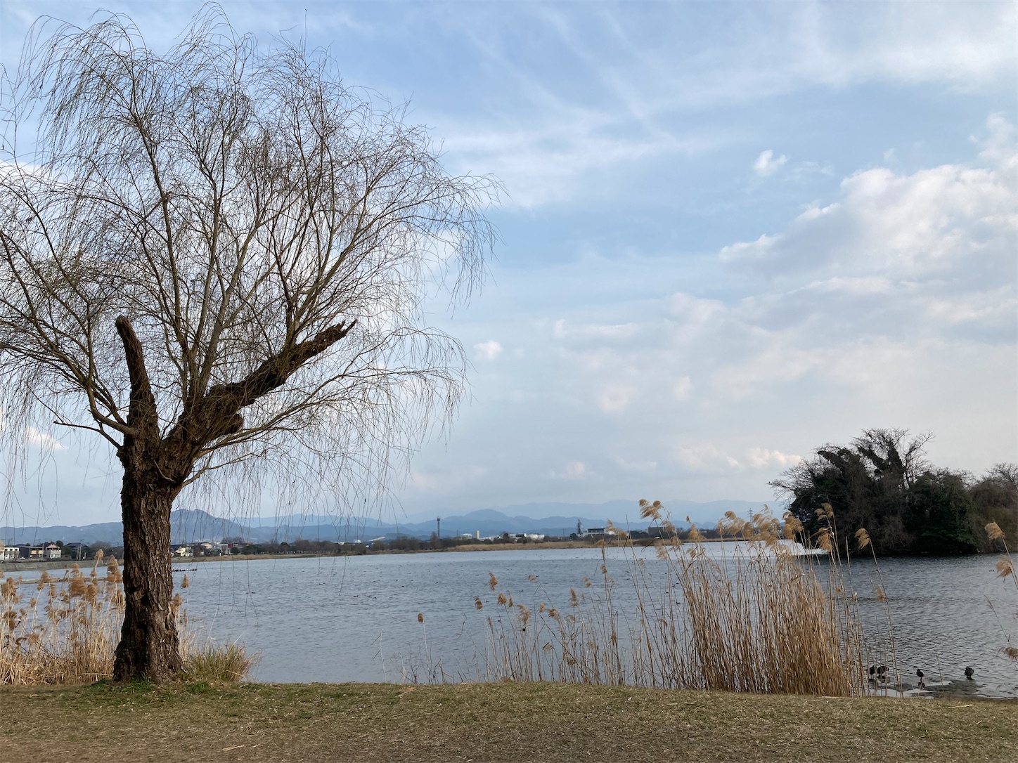 f:id:moomoon6355:20220311233107j:image f:id:moomoon6355:20220311233107j:image