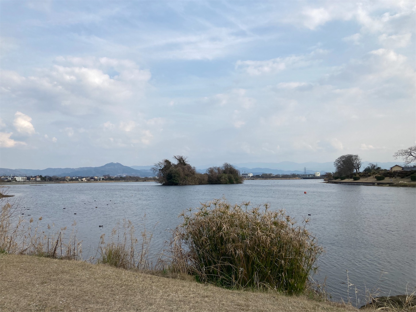 f:id:moomoon6355:20220311233158j:image f:id:moomoon6355:20220311233158j:image