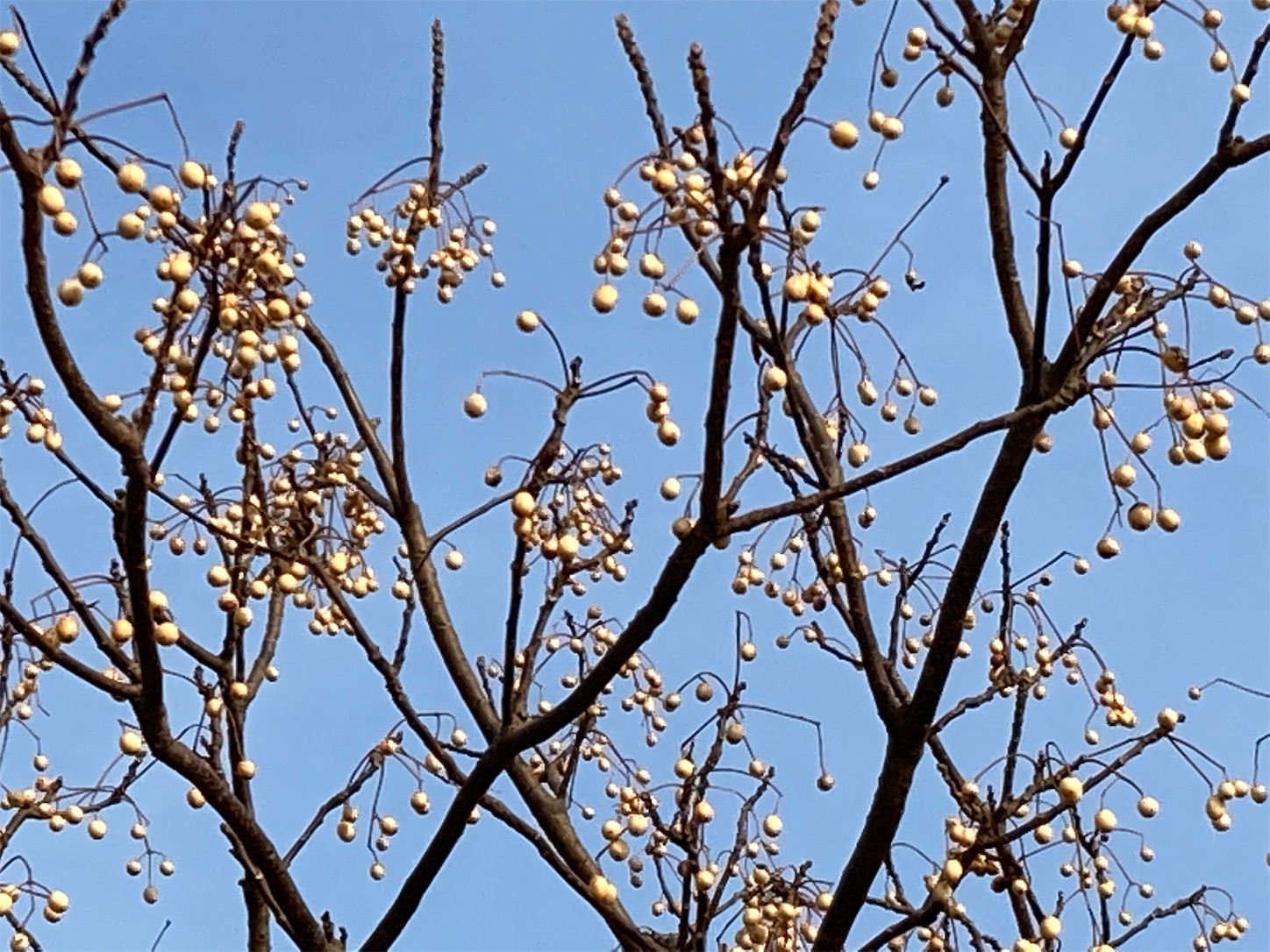 f:id:moomoon6355:20220311233340j:image f:id:moomoon6355:20220311233340j:image