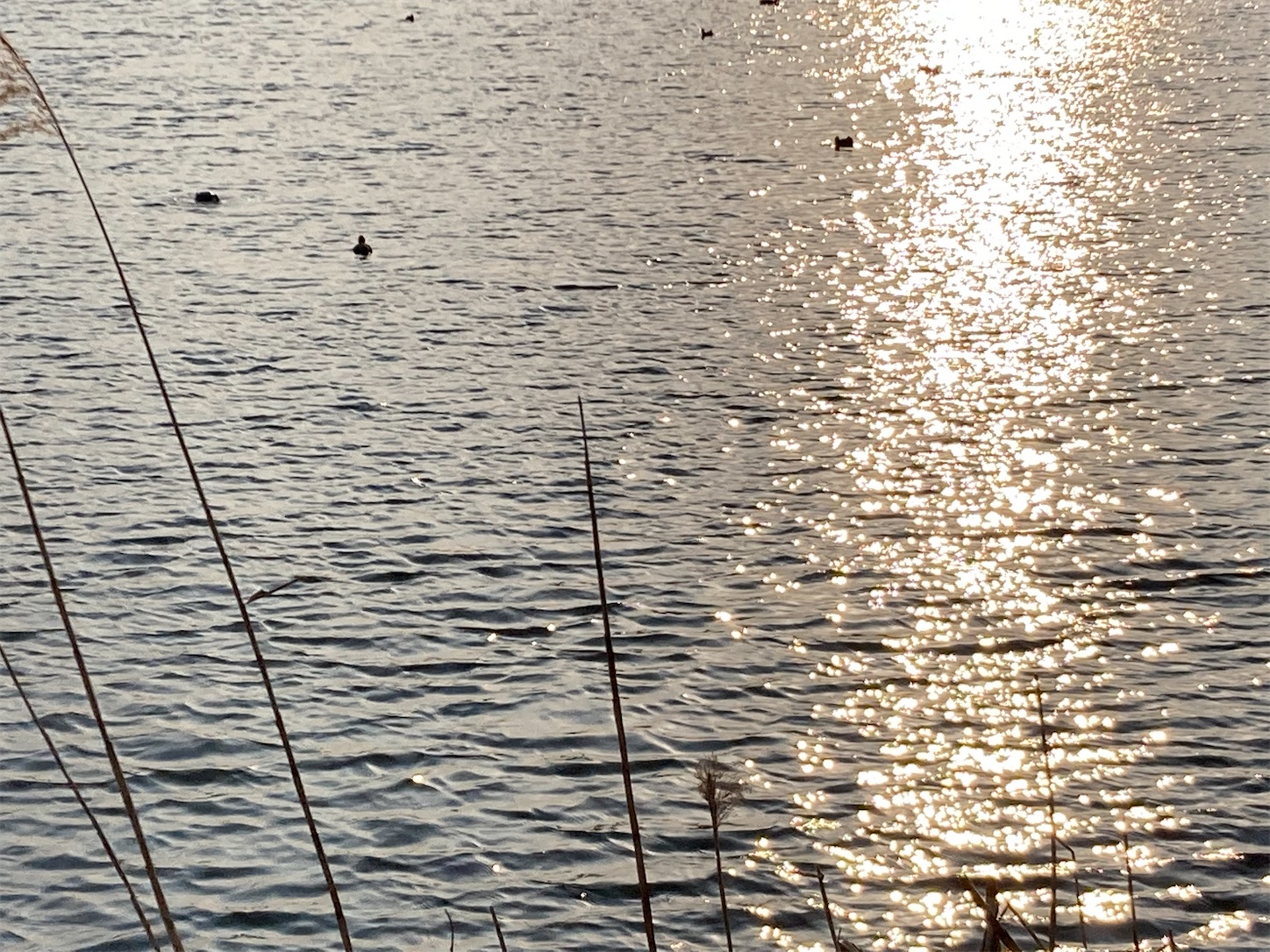 f:id:moomoon6355:20220311233431j:image f:id:moomoon6355:20220311233431j:image