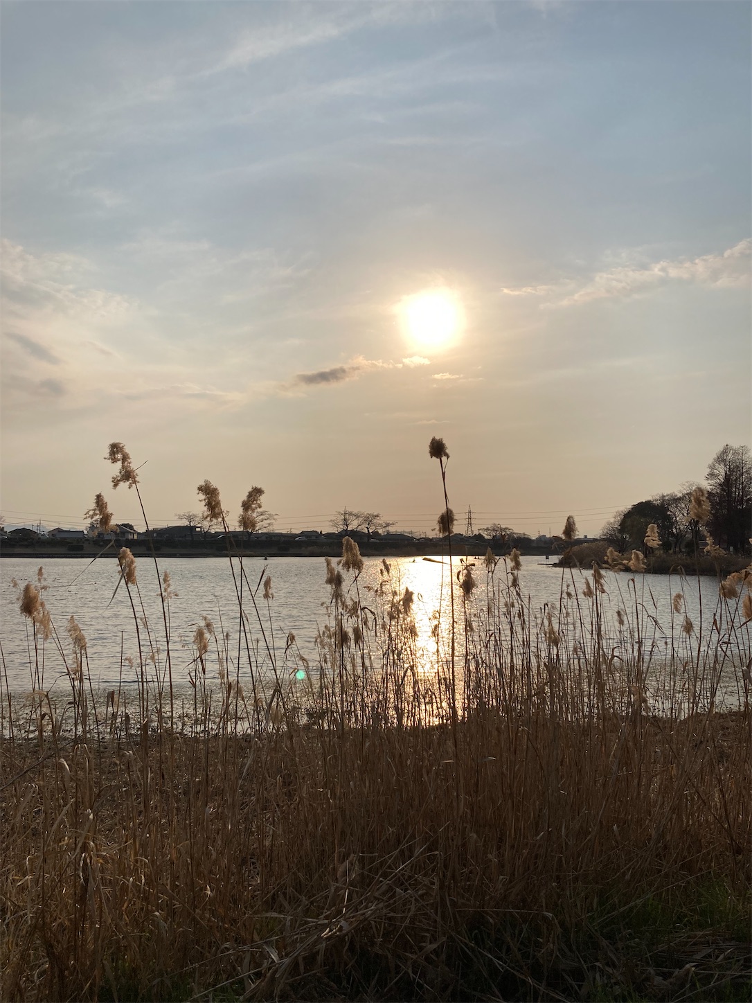 f:id:moomoon6355:20220311233524j:image f:id:moomoon6355:20220311233524j:image