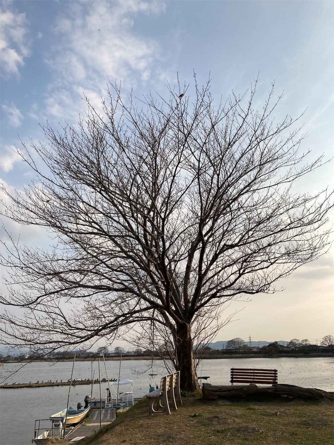 f:id:moomoon6355:20220311233609j:image f:id:moomoon6355:20220311233609j:image