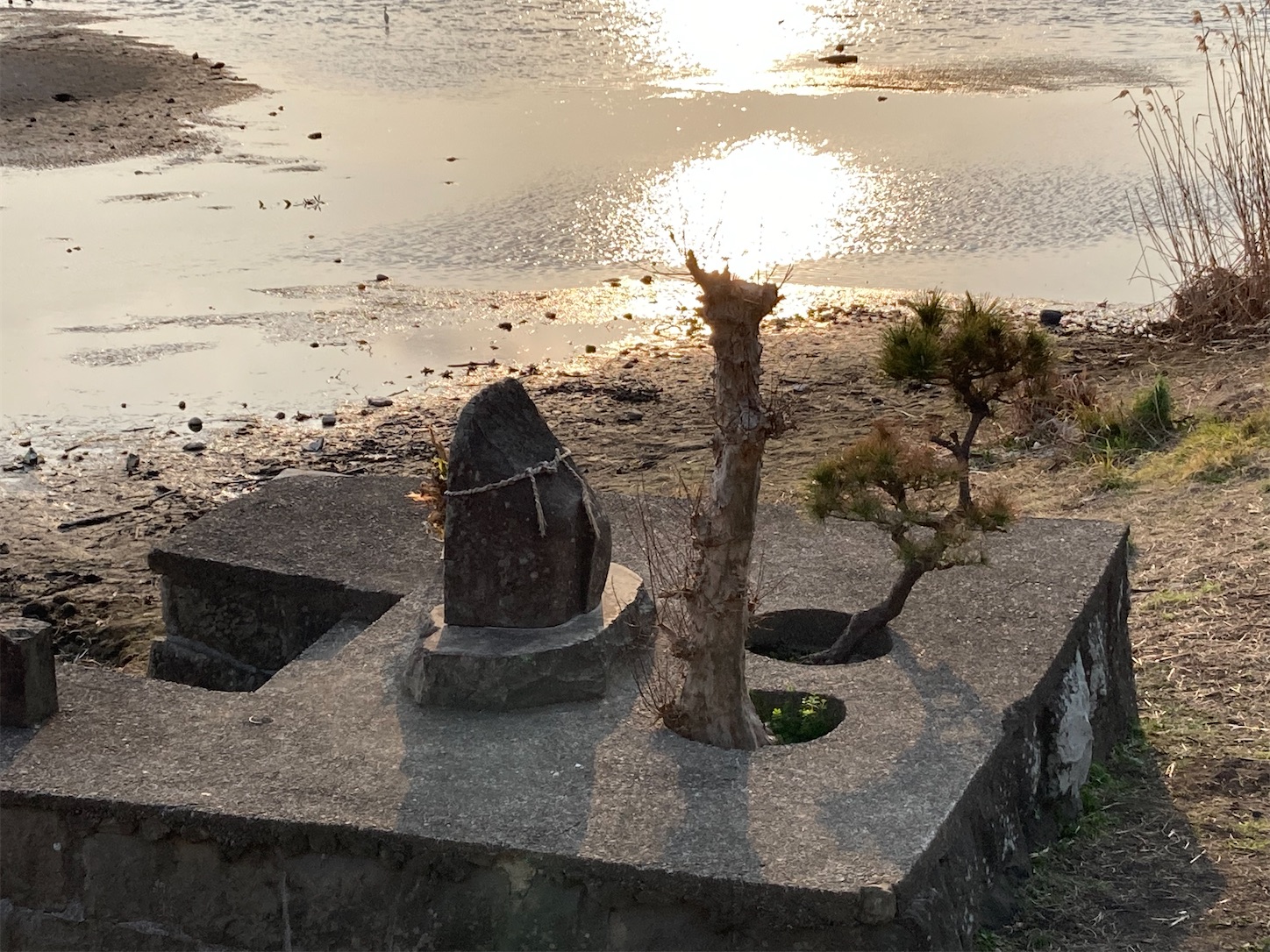 f:id:moomoon6355:20220311233614j:image f:id:moomoon6355:20220311233614j:image