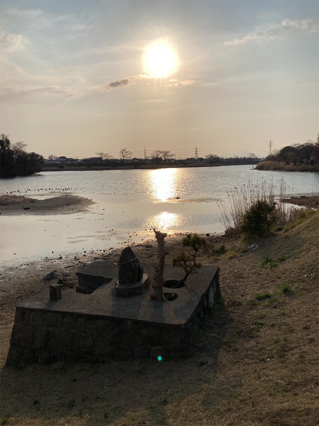 f:id:moomoon6355:20220311233617j:image f:id:moomoon6355:20220311233617j:image