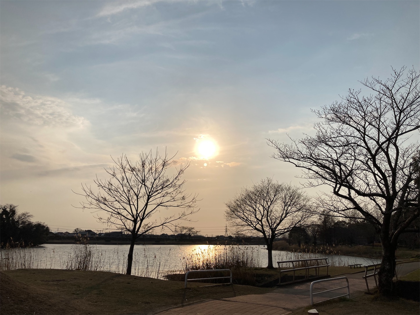 f:id:moomoon6355:20220311233646j:image f:id:moomoon6355:20220311233646j:image