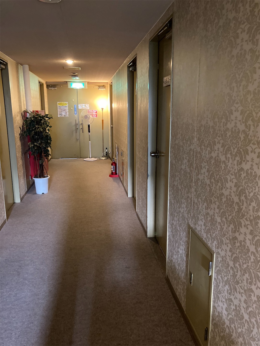 f:id:moomoon6355:20220313204124j:image f:id:moomoon6355:20220313204124j:image