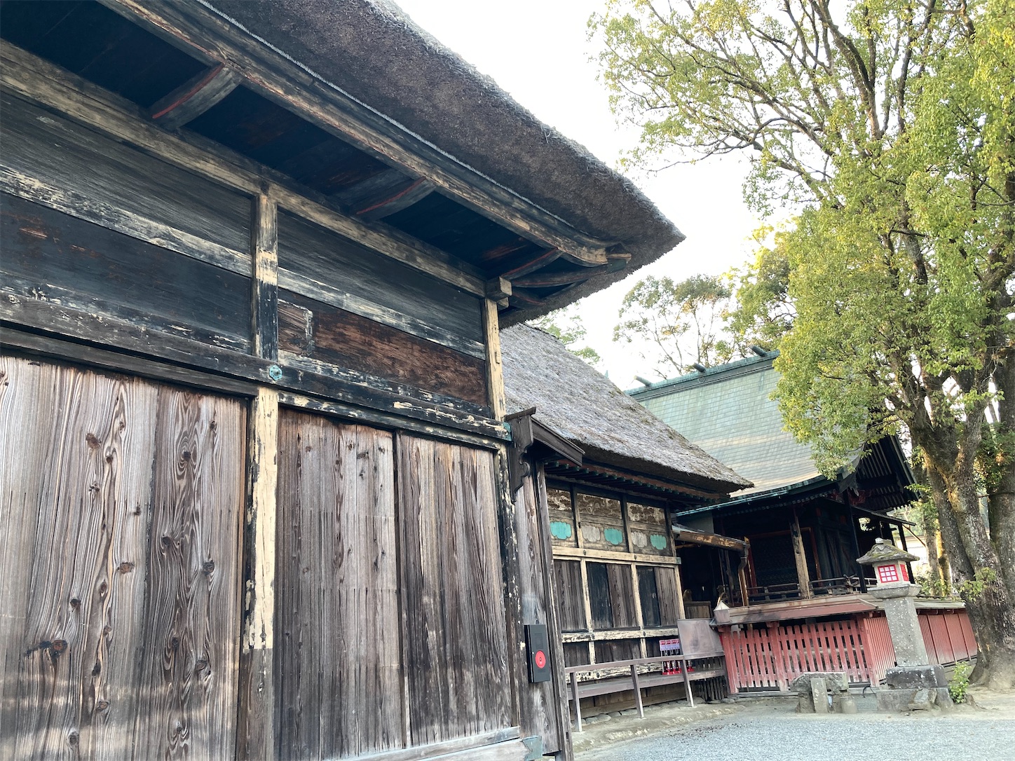 f:id:moomoon6355:20220313204721j:image f:id:moomoon6355:20220313204721j:image