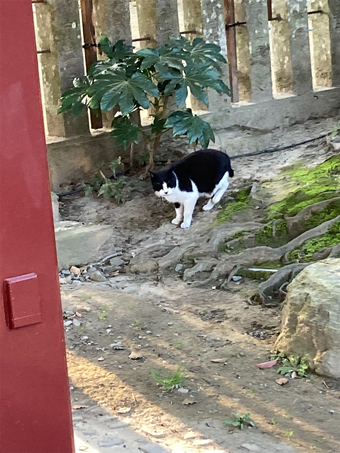 f:id:moomoon6355:20220313204724j:image f:id:moomoon6355:20220313204724j:image