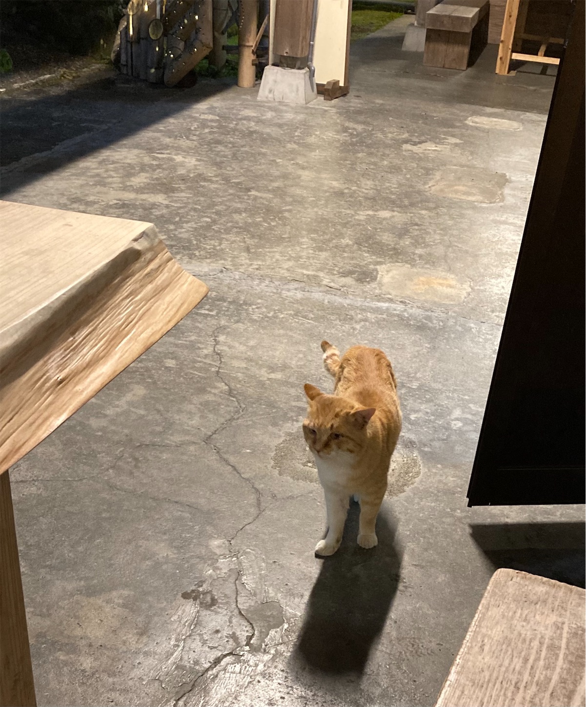 f:id:moomoon6355:20220313215511j:image f:id:moomoon6355:20220313215511j:image