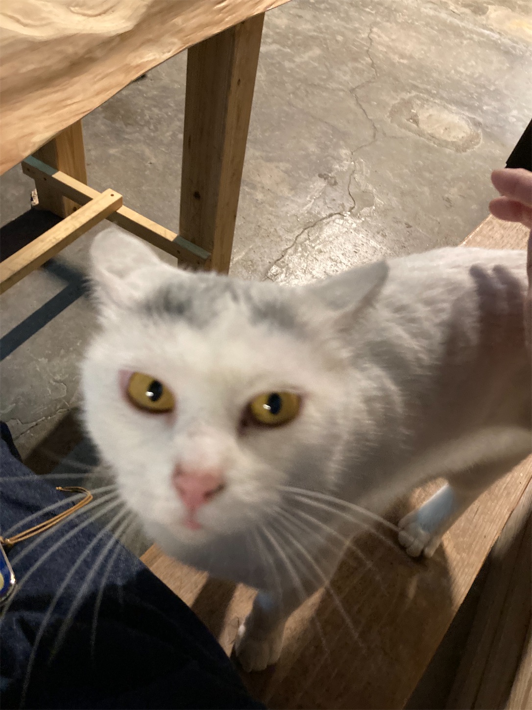 f:id:moomoon6355:20220313215515j:image f:id:moomoon6355:20220313215515j:image