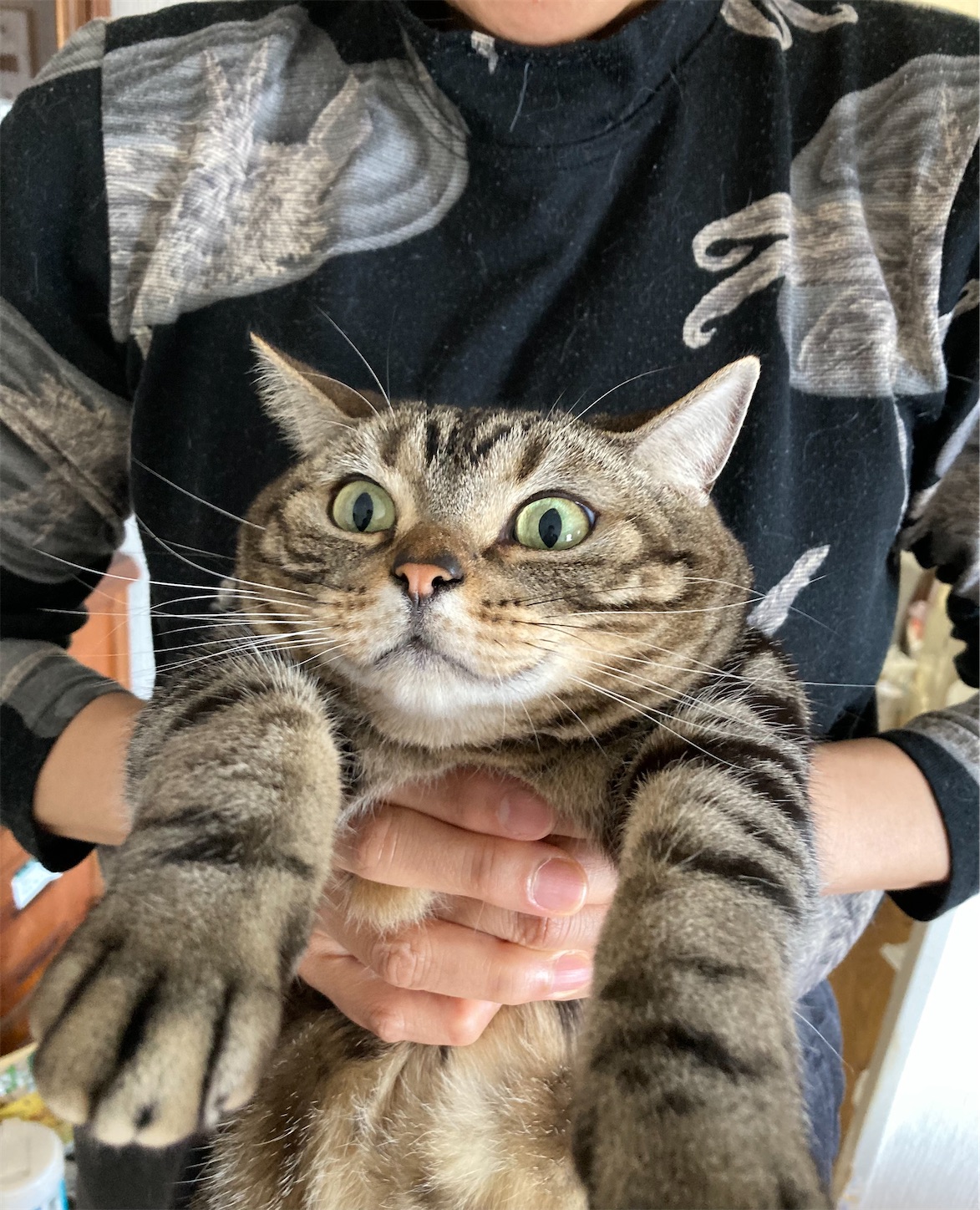 f:id:moomoon6355:20220411095443j:image