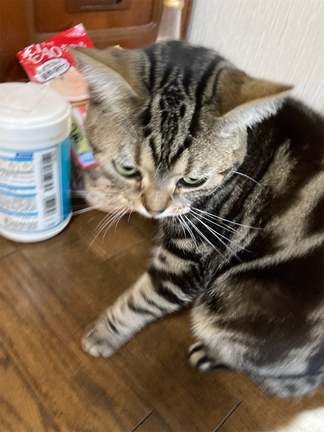 f:id:moomoon6355:20220411102747j:image