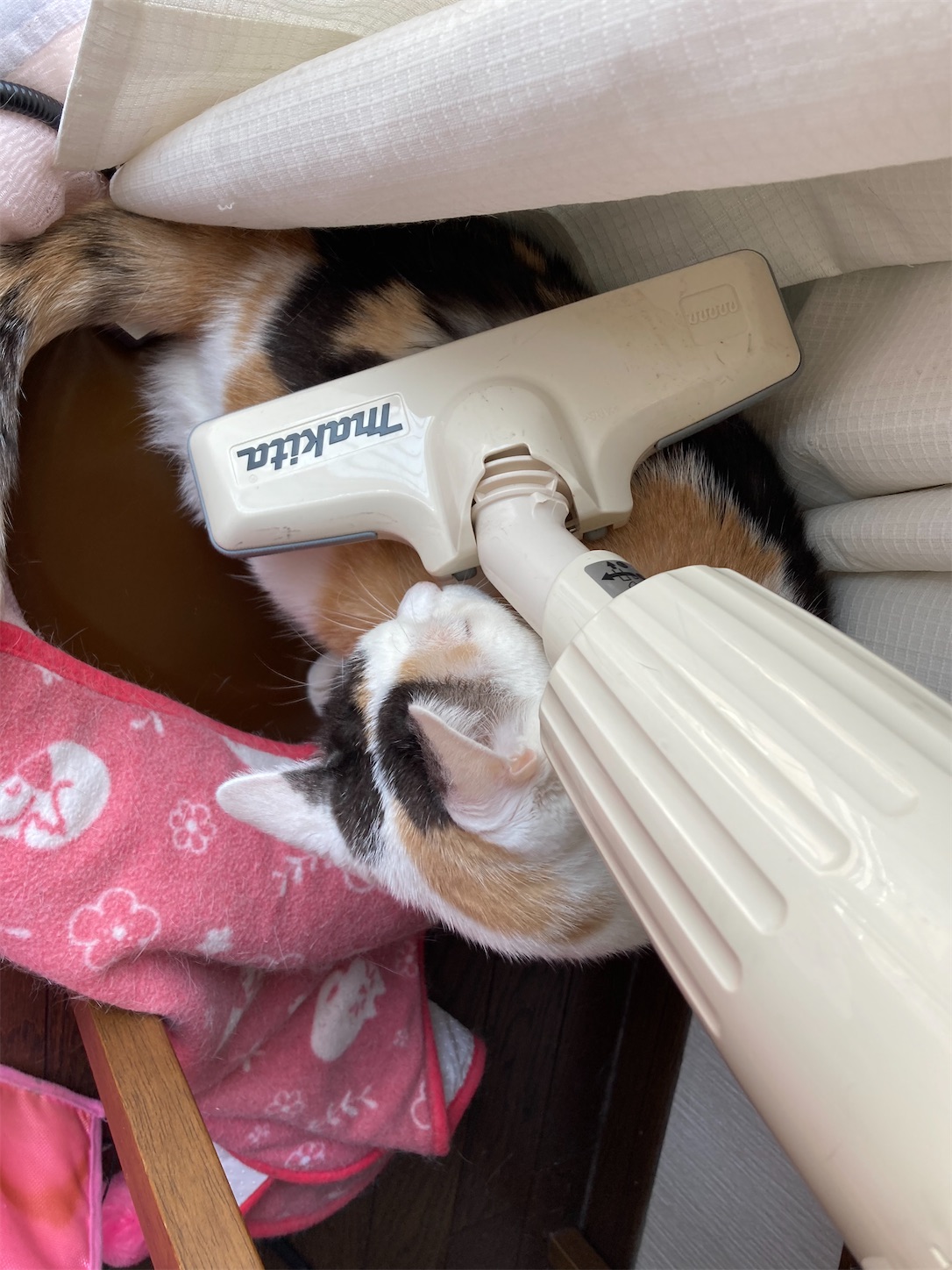 f:id:moomoon6355:20220421204418j:image