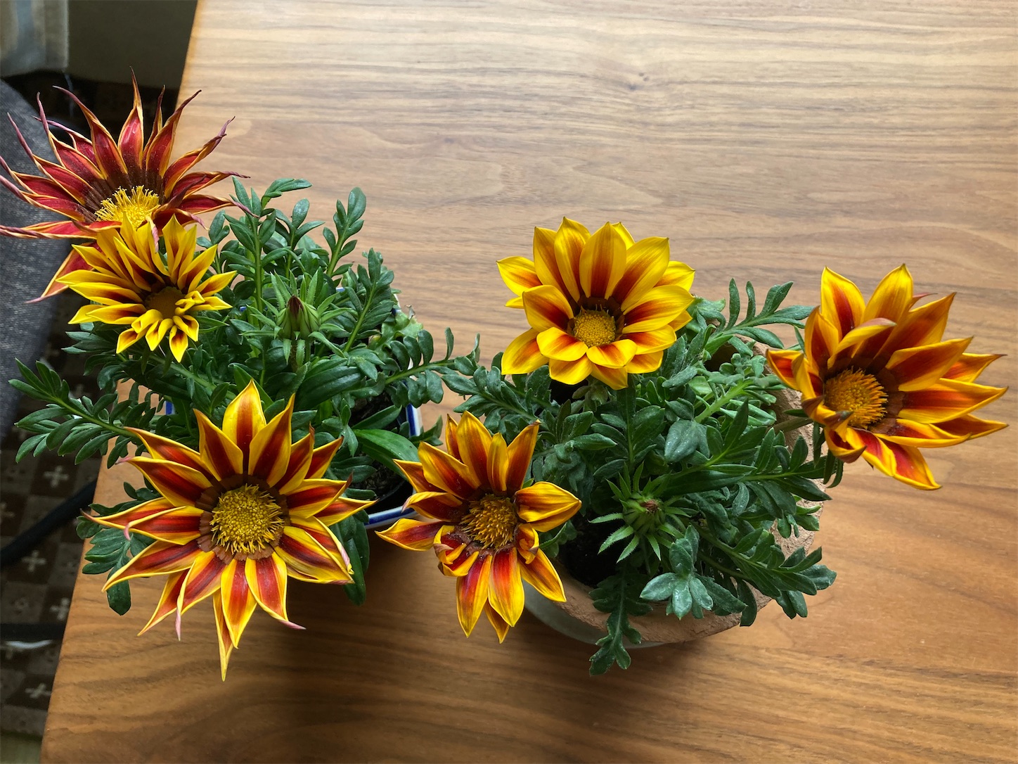 f:id:moomoon6355:20220421205531j:image