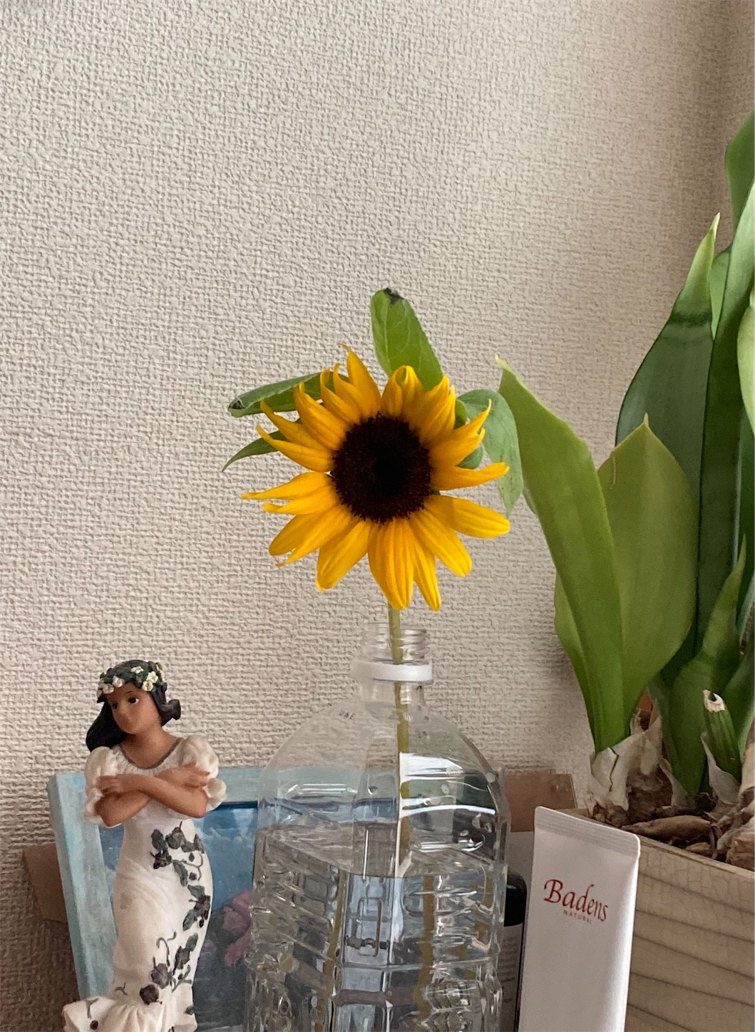 f:id:moomoon6355:20220421205538j:image