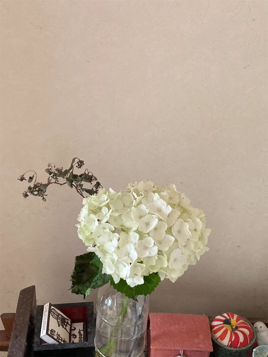 f:id:moomoon6355:20220421205542j:image